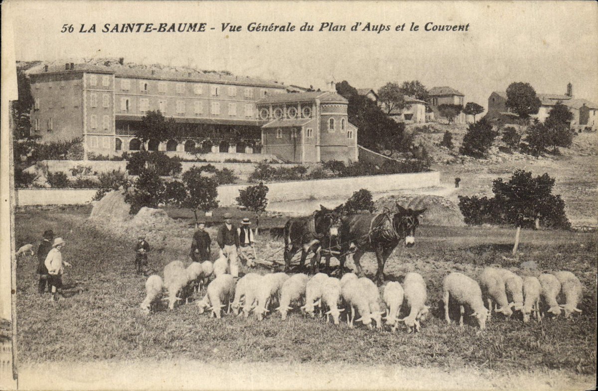 cpaphil's tweet image. VINTAGE POSTCARD Coach Sainte the Balsam View of the plan of Aups and the convent Horse sheep

cpaphil.com/en/categories/…

#SainteBalsam #AupsVillage #ConventLife #HorseAndSheep #VintageProvence #HistoricFrance #RuralHeritage #PostcardArt #VintageIllustration #CountryLife s