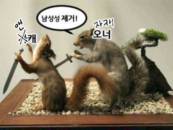 mtt6ttm's tweet photo. 장미야 https://t.co/aBTLVE1hzC