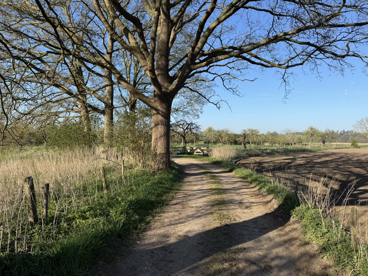 scherders_l's tweet photo. Vandaag de volgende etappe gelopen van het #hanzestedenpad gelopen, van #Zutphen naar #Deventer. Prachtig weer, ook veel activiteiten rond bevrijding van dit gebied in 1945. ‘‘s middags kwam Chantal met auto en hebben we nog lekker met de cabrio gereden. https://t.co/Cq7bxbFBGn