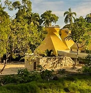 AcleddHaiti's tweet image. 🌿 Le Parc National Urbain de Martissant (PNUM), un écrin de biodiversité au cœur de Port-au-Prince. 17 hectares d’histoire, 271 espèces végétales, une faune variée… Un refuge écologique menacé mais essentiel. #HaitiClimat

🔗 En savoir plus : haiticlimat.org/wynne-farm-et-…