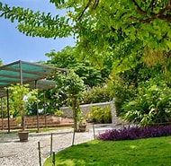 AcleddHaiti's tweet image. 🌿 Le Parc National Urbain de Martissant (PNUM), un écrin de biodiversité au cœur de Port-au-Prince. 17 hectares d’histoire, 271 espèces végétales, une faune variée… Un refuge écologique menacé mais essentiel. #HaitiClimat

🔗 En savoir plus : haiticlimat.org/wynne-farm-et-…
