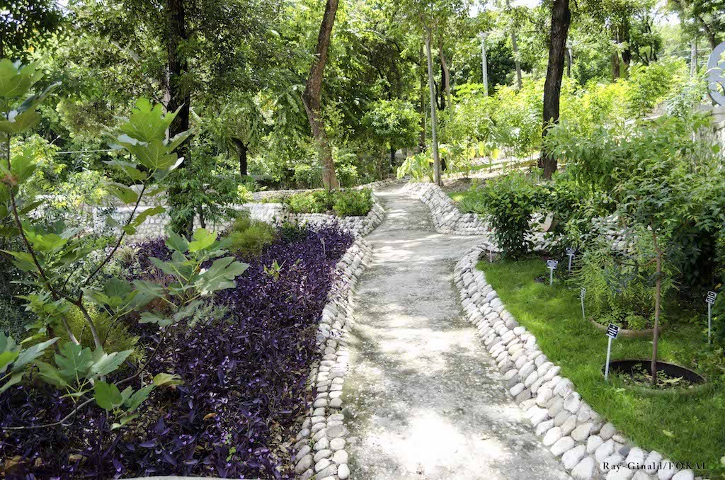 AcleddHaiti's tweet image. 🌿 Le Parc National Urbain de Martissant (PNUM), un écrin de biodiversité au cœur de Port-au-Prince. 17 hectares d’histoire, 271 espèces végétales, une faune variée… Un refuge écologique menacé mais essentiel. #HaitiClimat

🔗 En savoir plus : haiticlimat.org/wynne-farm-et-…