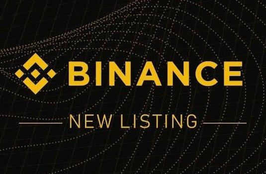 🚨BSC Gems Alert🚨 tweet media