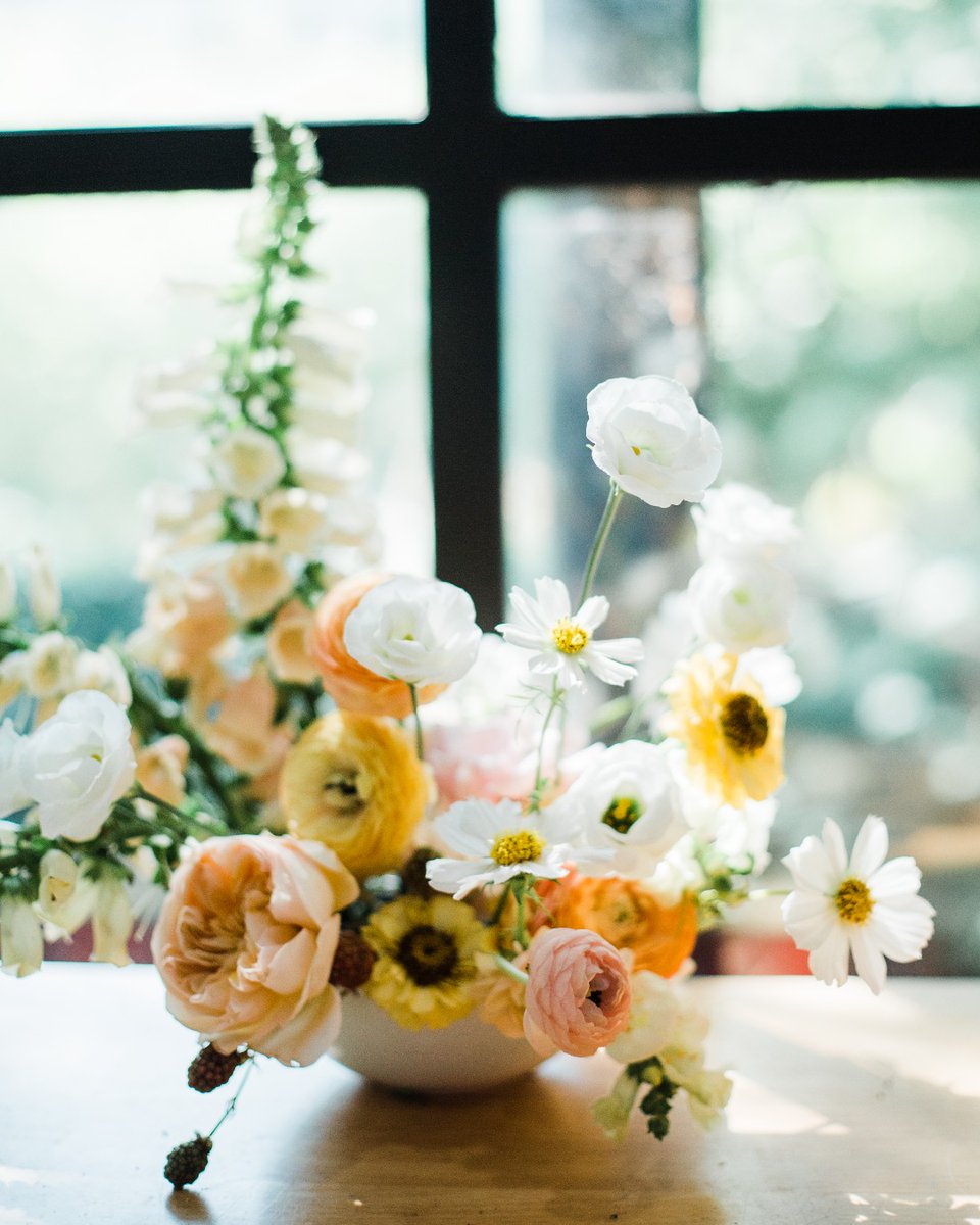 Four Seasons Seattle tweet media