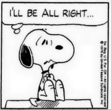 Daily Snoopy (@dailysnoopys) on Twitter photo 