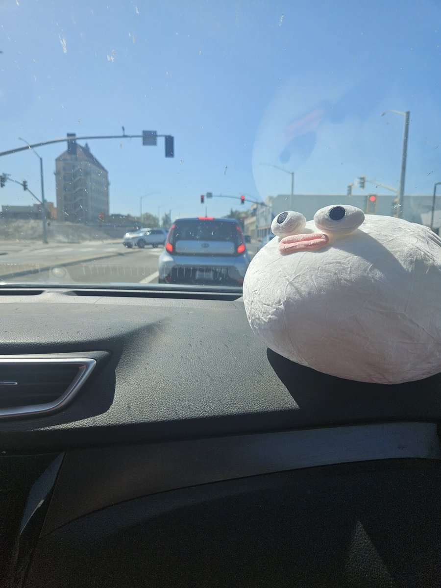 NutzBuster69's tweet photo. fish in da car https://t.co/Pg79BemZiA