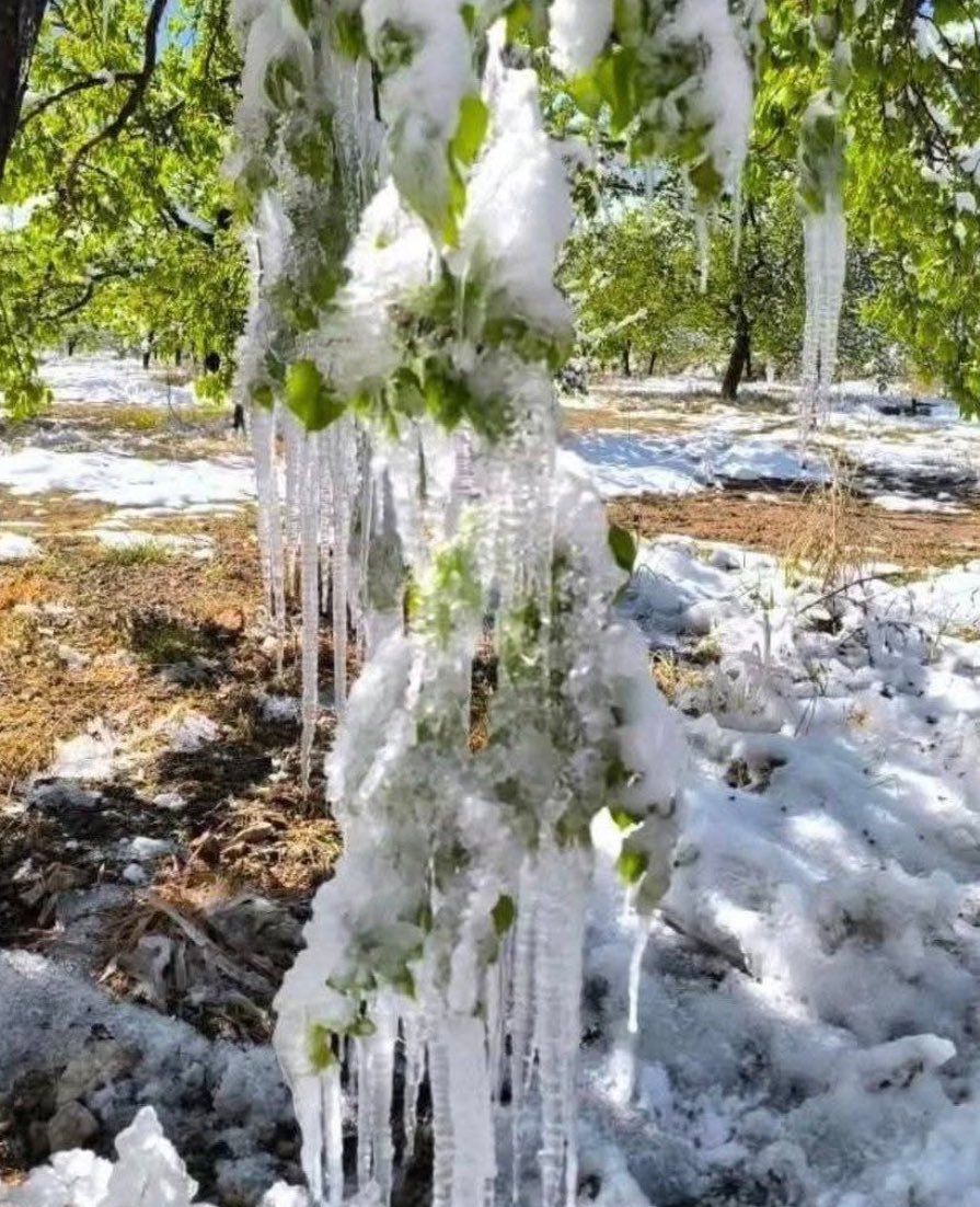 malatyabyefendi's tweet photo. Kayısı Malatya için 
Ekmek demek 
Emekçiler için iş demek 
Öğrenciler için burs demek 
Gençler için düğün demek 
Hayalleri olanlar için Ev Araba demek 
Kayısı Malatya için her şey demek 
#malatya #KayısılarYandıUmutlarSöndü https://t.co/l37BB5RVS3