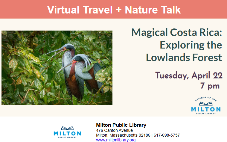 MiltonLibraryMA's tweet photo. Magical Costa Rica: Exploring the Lowlands Forest
Tuesday, April 22 @ 7pm [Virtual]

Join naturalist and photographer Joy Marzolf over Zoom to explore the amazing biodiversity of Costa Rica.

Registration (required) and more info:
https://t.co/o8oN2H8xsE https://t.co/9kgw3vdVOl