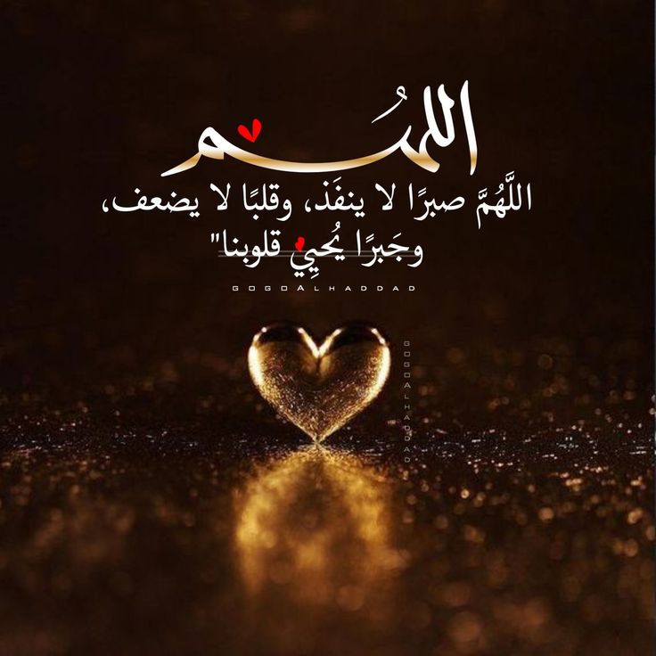 الفززززززززززززززعة 
إخواني الأعزاء
حسابي في خطر💔😢
 لا تخلوني للمغضوب عليهم 
إﻥ ﻋﻠﻘﺖ فأﻧﺖ ﻣﺸﻜﻮر.
ﻭإﻥ ﺗﺠﺎﻫﻠﺖ فلا بأس.