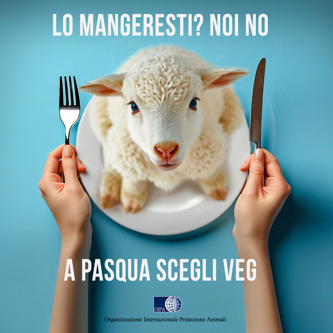 OIPA Italia tweet media