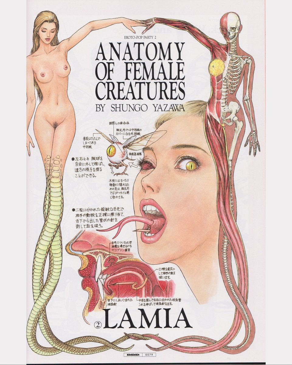 pinakotheca's tweet photo. “Anatomy of Female Creatures” by Shungo Yazawa. 1999-2001. Published in DDD Magazine. Scanned by me. Pt 2 https://t.co/9YGLUWj7h2