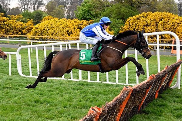 Pat Downey Racing tweet media