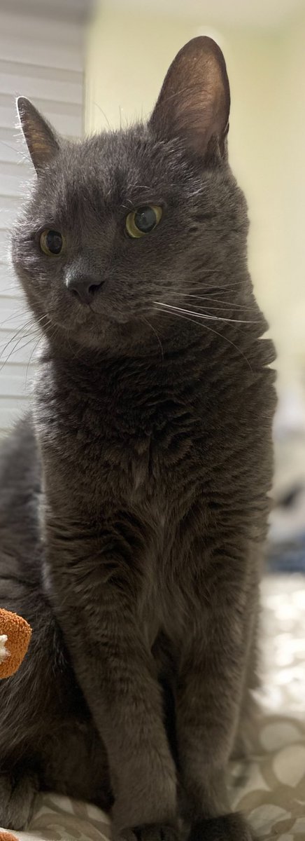 Manel Loureiro tweet media