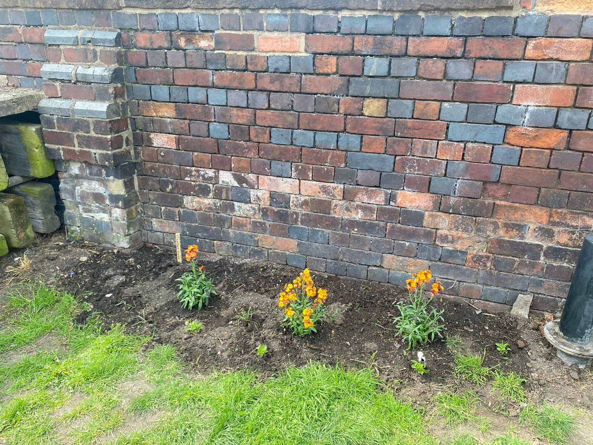 NorthgateLocks's tweet photo. Volunteers have been out today around Tower Wharft planting g 2 flower beds and weeding the crossover bridge. It was hard work , thanks to everyone working today. #NorthgateLocks
#Chester
#TowpathTaskforce
@CRTBoating
@CRTNorthWest
#volunteerbythewater 
#keepcanalsalive https://t.co/4oNcDSNbh7