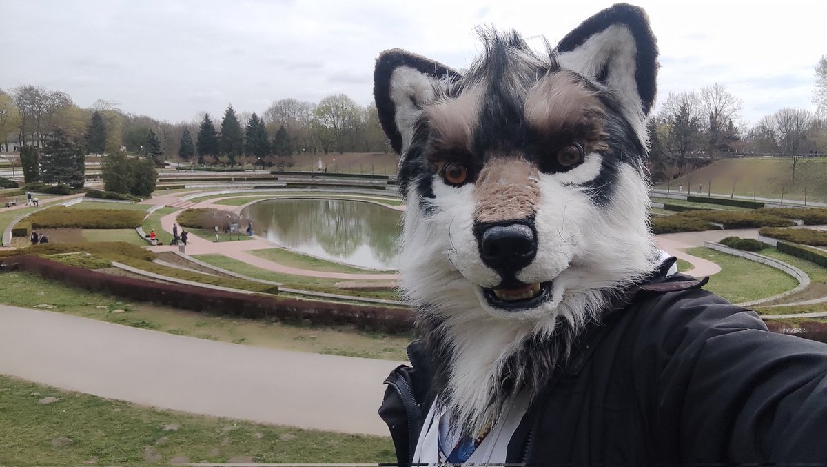 Today Fursuit Walk Poznan Poland