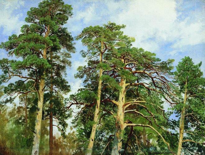 The tops of the pines #artbots #shishkin
