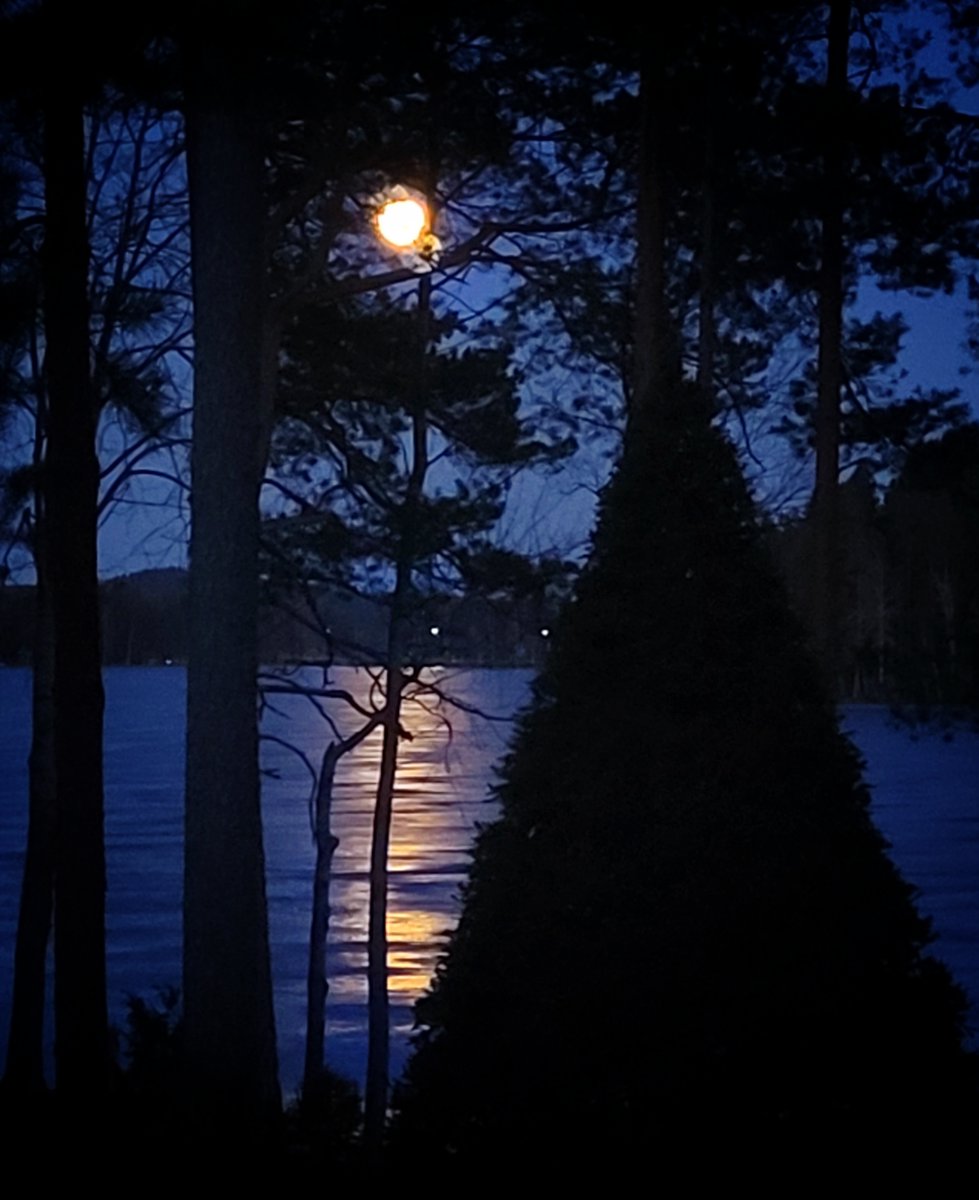 Timo Määttä tweet media