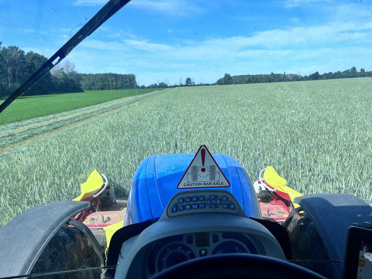 TimJaquemet's tweet photo. @JSCustomFarms @Wilsonfarmgrain Yes. We do triticale https://t.co/X2F9EvyQC9