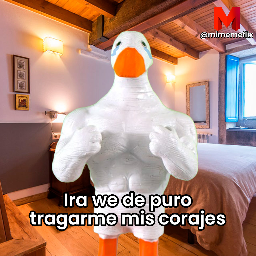 mimemeflix_'s tweet image. Empezando el fin y ya con corajes
#memes #memeflix #humorreal #humor #meme