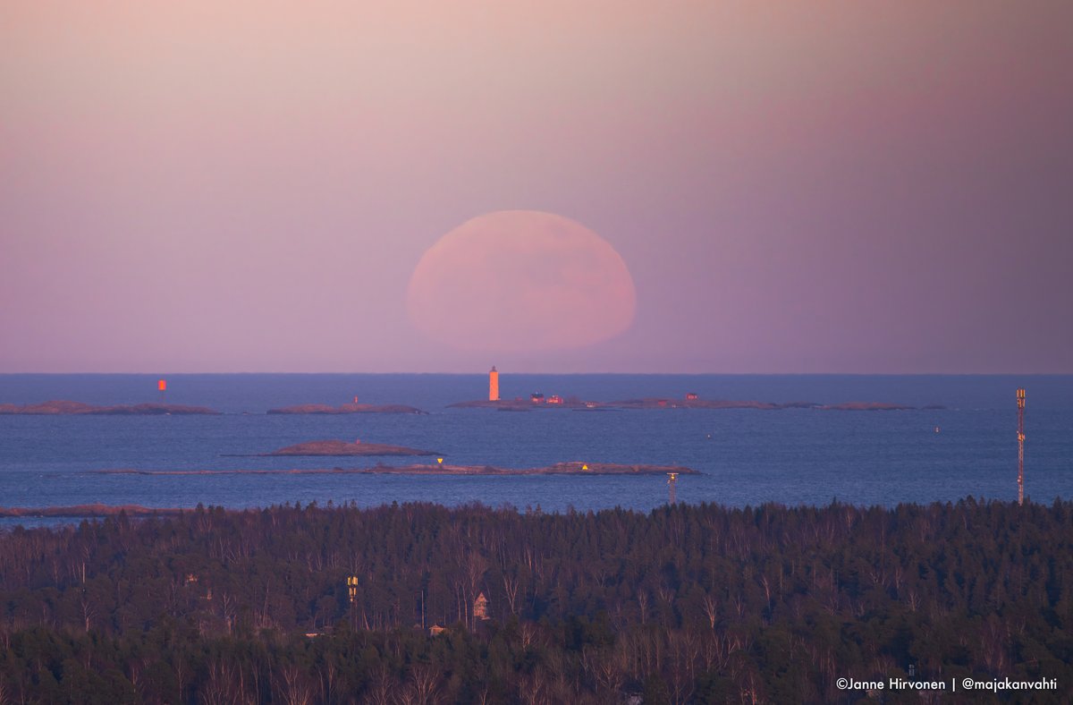 majakanvahti tweet media