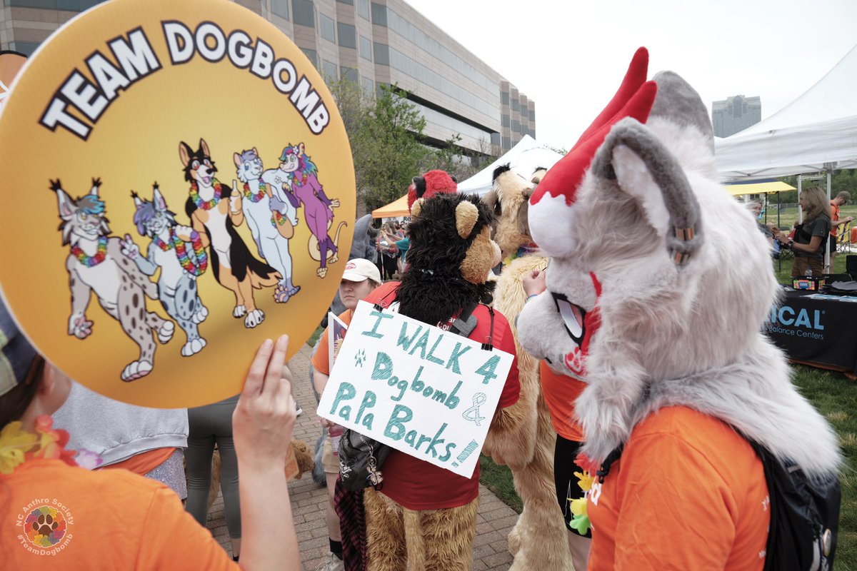 Bewhiskered 2026: Whisker World Arcade tweet media