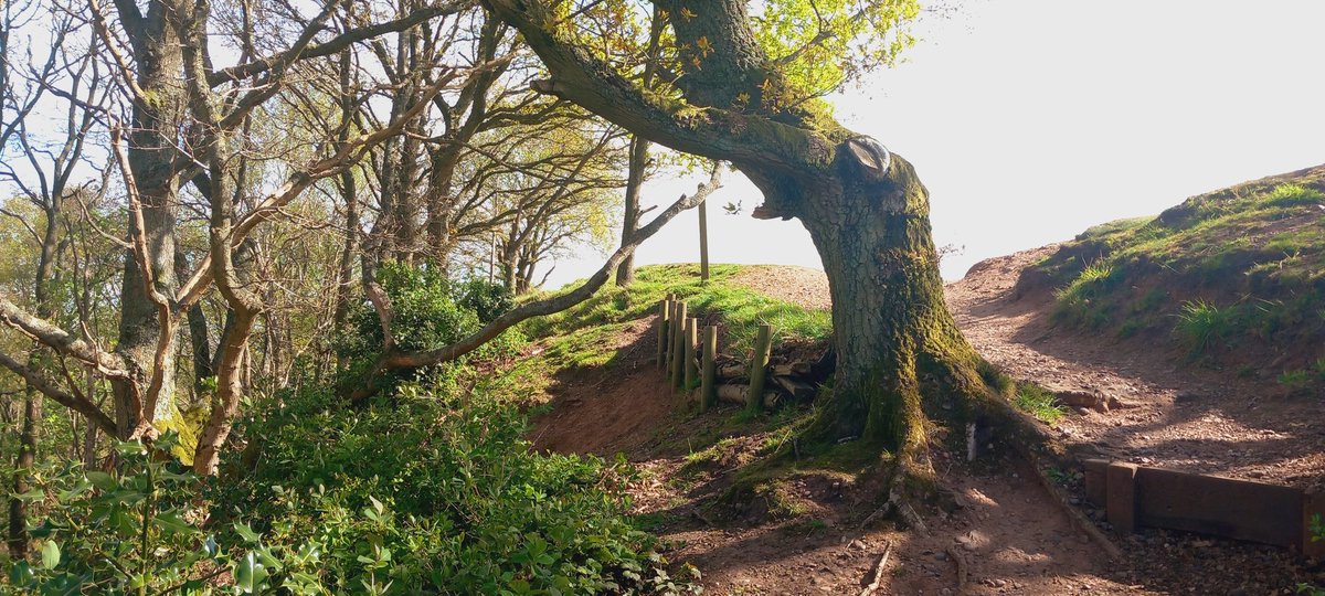 jpaulmurdock's tweet photo. A lovely walk at #KinverEdge this morning. https://t.co/vpK6grhcBc