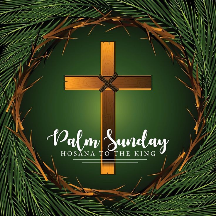 HAPPY PALM SUNDAY 
#jesus #PalmSunday