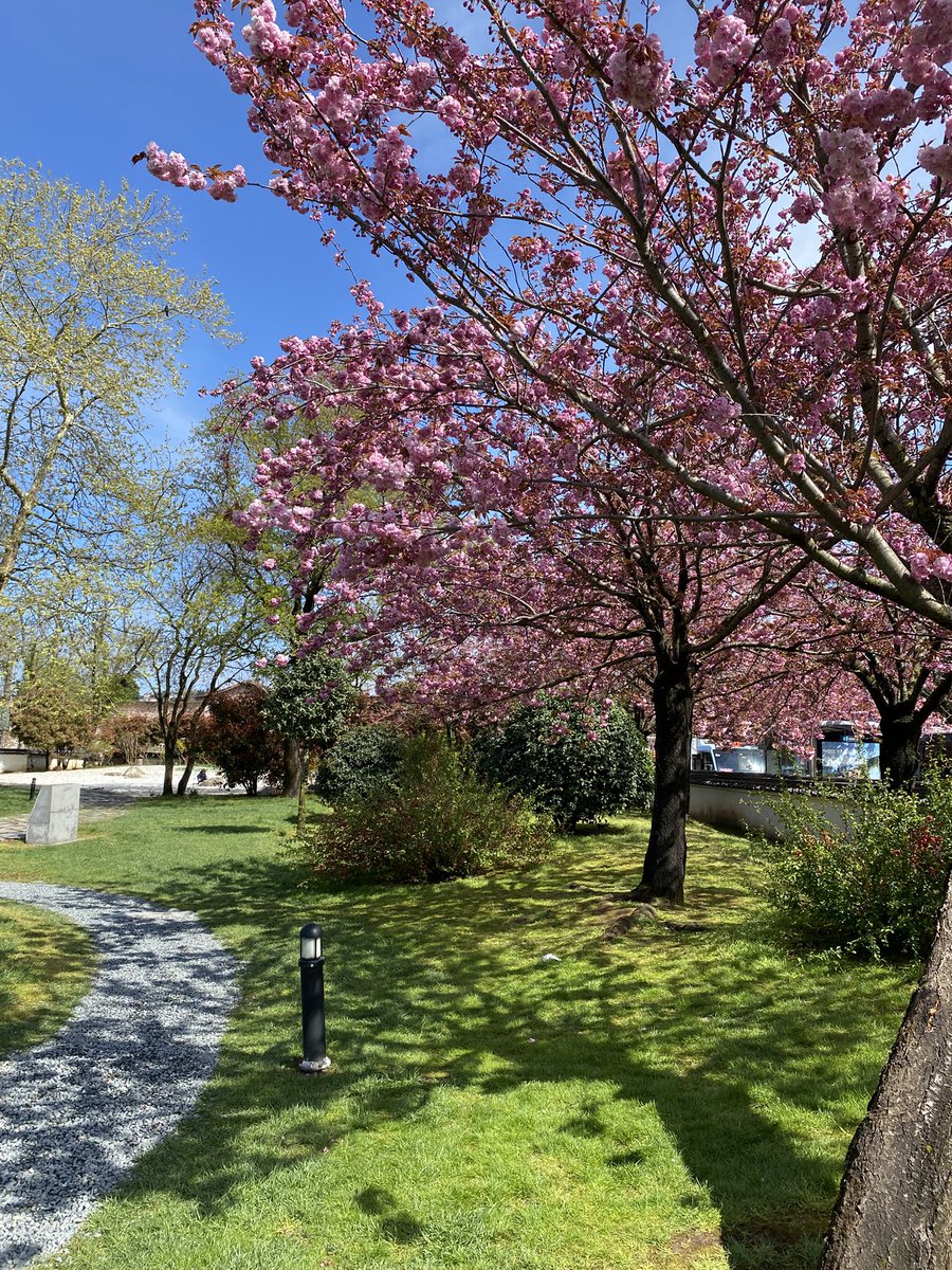 duveeettt's tweet photo. today i walked in istanbul https://t.co/AReMNdqOJe
