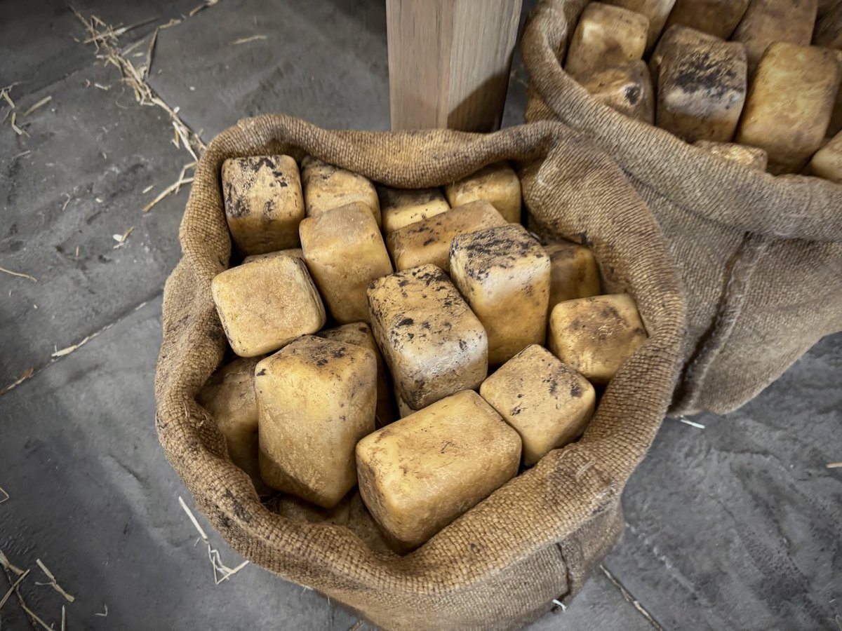 Torfi Frans Olafsson (@torfi_f_olafss) on Twitter photo Sacks of square potatoes from <a href="/AMinecraftMovie/">A Minecraft Movie</a> . Fresh harvest, still with some dirt on them. No villager rebalance yet here. Sacks of square potatoes from <a href="/AMinecraftMovie/">A Minecraft Movie</a> . Fresh harvest, still with some dirt on them. No villager rebalance yet here.