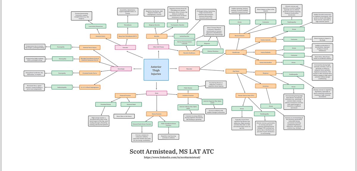 Anterior Thigh Pathology Mind Map

linkedin.com/posts/scottarm…