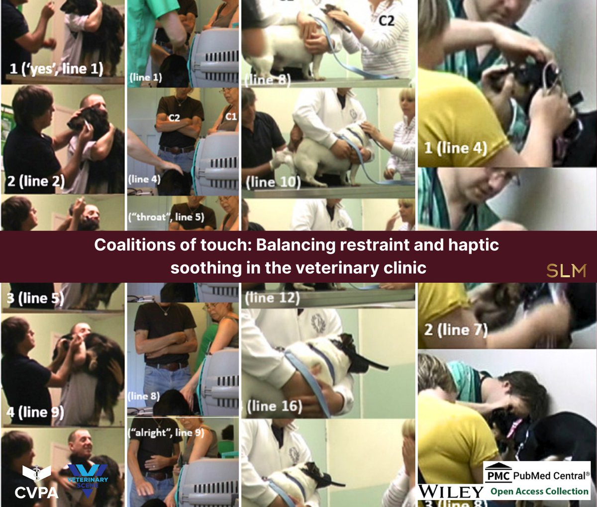 stevenlmay's tweet photo. FASCINATING STUDY
Coalitions of touch: Balancing restraint and haptic soothing in the veterinary clinic / Nick Llewellyn , Jon Hindmarsh, Robin Burrow
This article responds to recent calls to further incorporate the study of animal health care into the sociology of health and illness.
https://t.co/KAmJ5q72dl

https://t.co/Sl8HM0yL3r
#vetnews #veterinary #veterinarymedicine #vetlife
#veterinarian #veterinaryjobs #vetpracticemanagement
#vetmed #vettech #veterinarytechnician #veterinarycareers
#stevenlmaycvj #dvm360 #MJHLifeSciences
#humananimalbond #ignitevet #vgpvet #medical
#shelter #animalshelter #compassionanimalproject
#sheltermedicine #emotionalintelligence
#leadership #aspca #dumbfriendsleague #leadership #sheltermedicine #leadership #cvpavet #Clinicianbrief
#physicians #NP #PA #RN #pets #pethospital
#CommunityCatsPodcast #animalhealth #animals