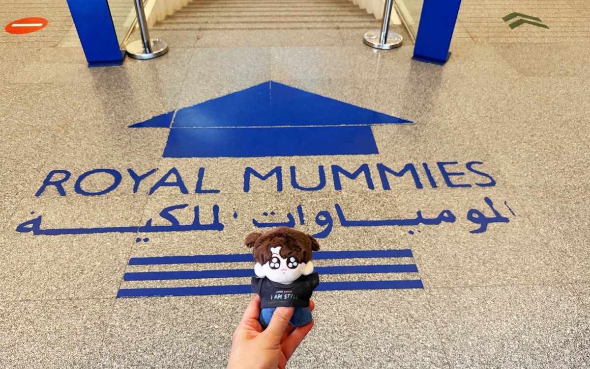 BaoYuanMei's tweet photo. น้องมาชมมัมมี่ฟาโรห์รามเสสที่ 2 #Ramsesll พระนางเนเฟอร์ตารี #Nefertari และมัมมี่ฟาโรห์ ราชินี 22พระองค์ ที่พิพิธภัณฑ์แห่งชาติอารยธรรมอียิปต์ 🇪🇬#NMEC #nationalmuseumofegyptiancivilization 
#HappinessKookoo https://t.co/US3Kwl7QJ1