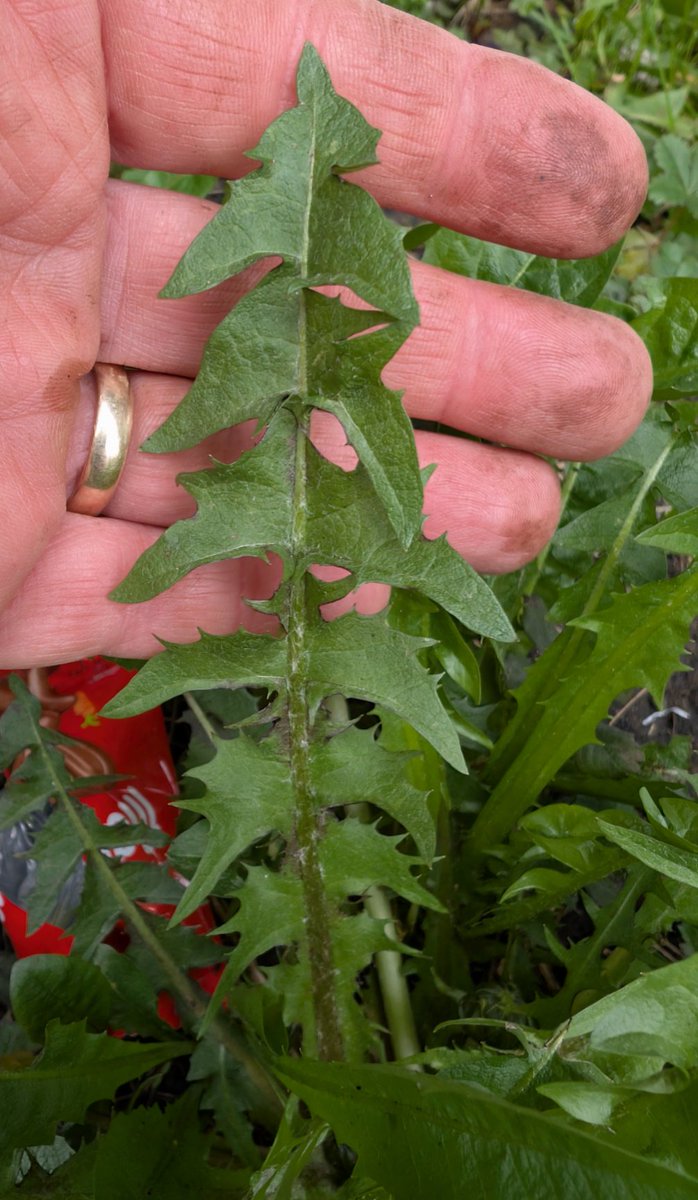 Jon Holt 🟢💸⚖️ tweet media