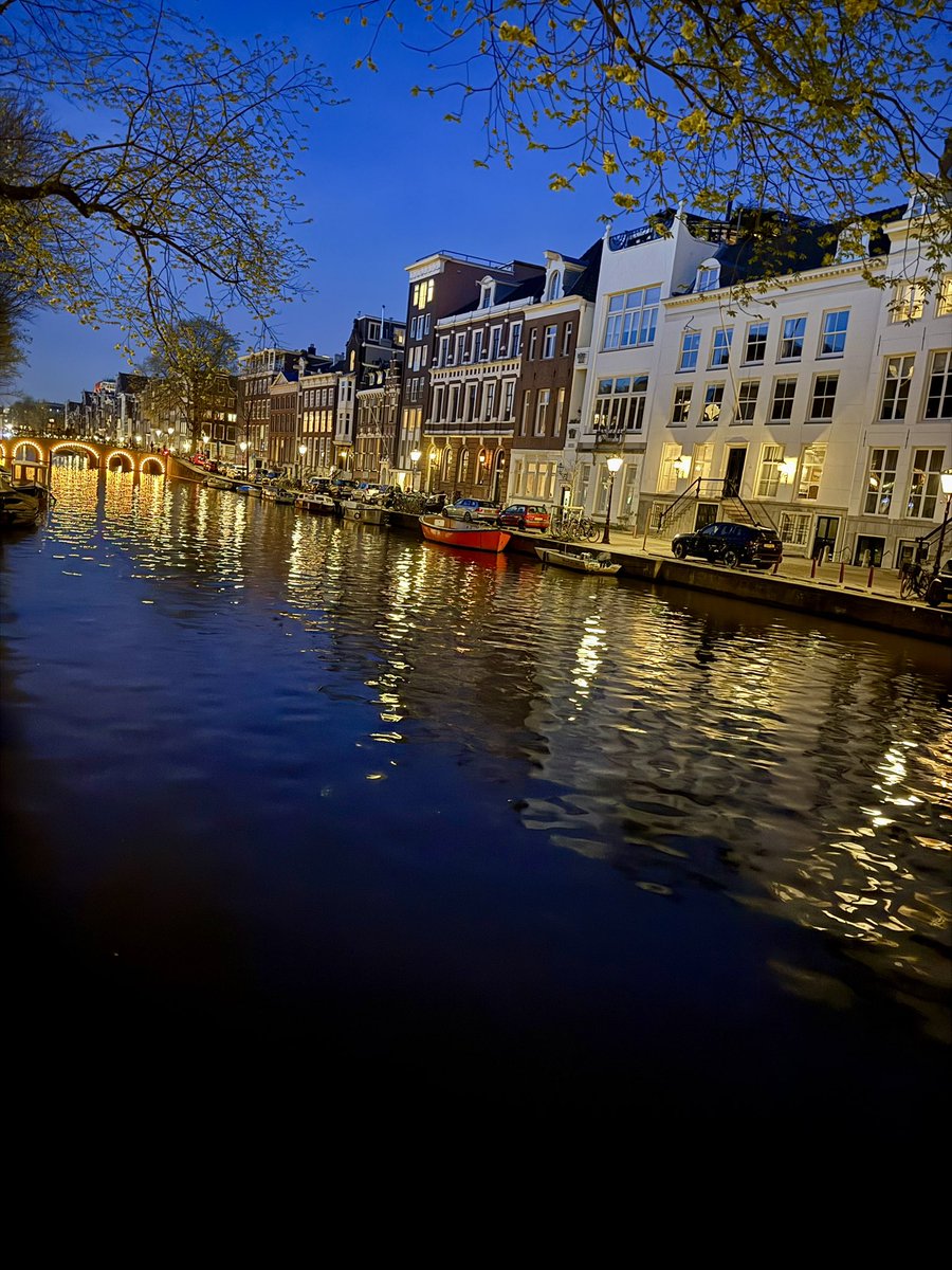 Seth Fiermonti tweet media