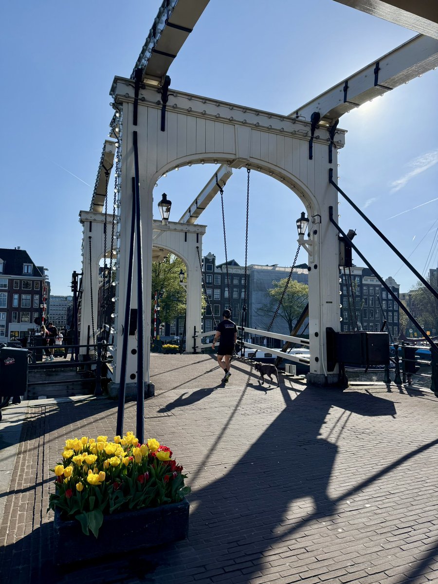 Seth Fiermonti tweet media