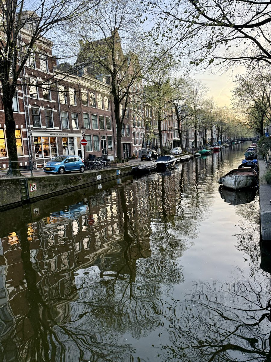 Seth Fiermonti tweet media