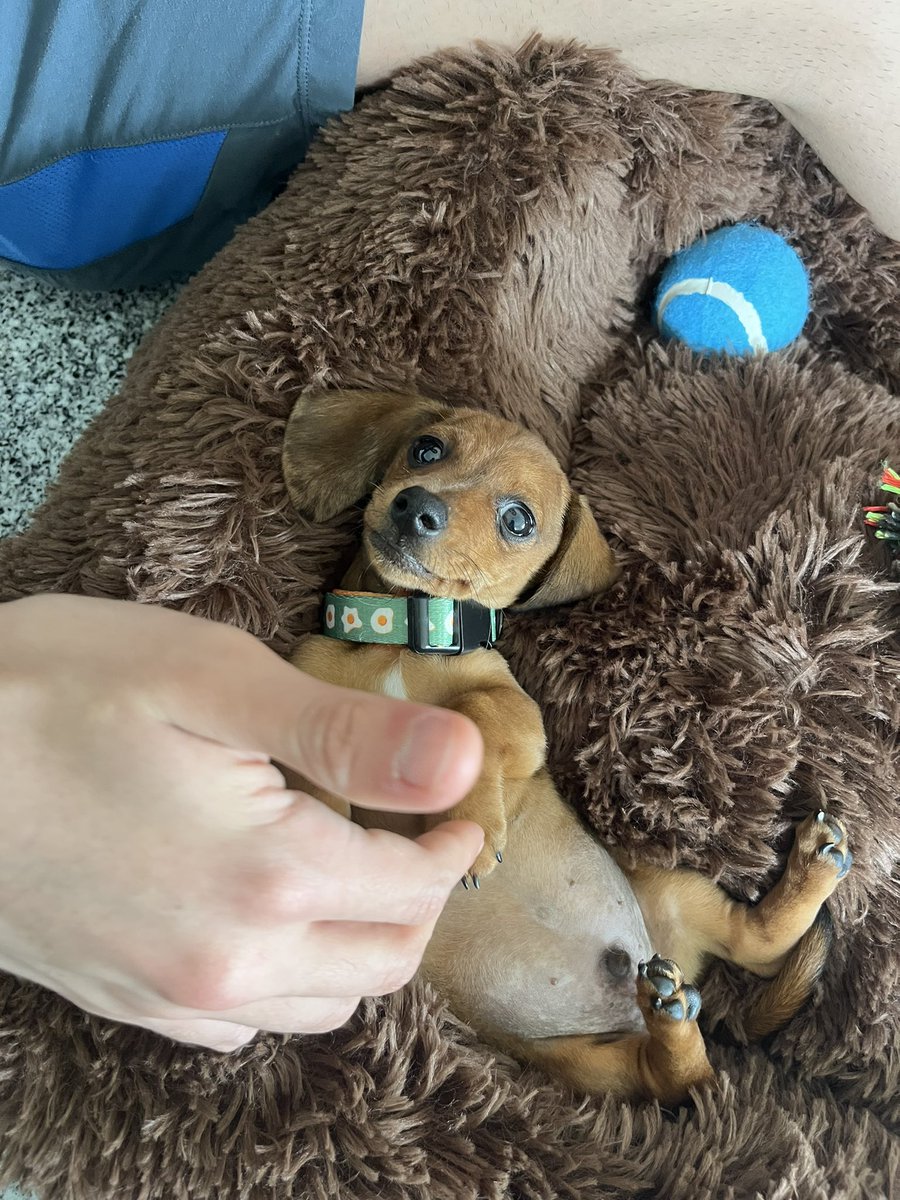 Soy mamá de un bebito 🌭😍