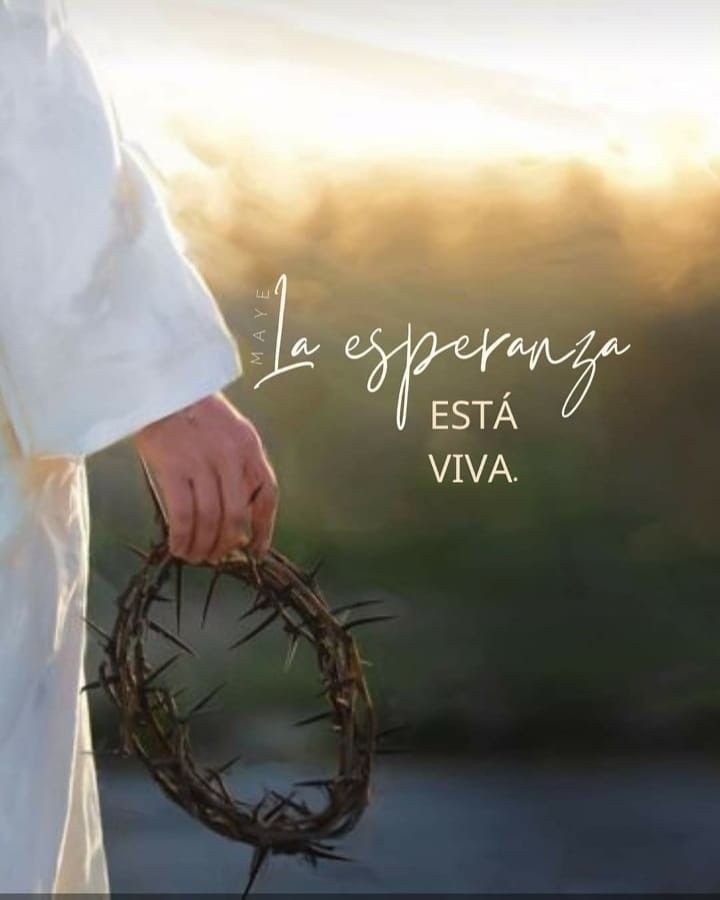 UrsuCory's tweet photo. ¡Cristo vive! 🙏🏼 🍃 https://t.co/afW7O8UkZm