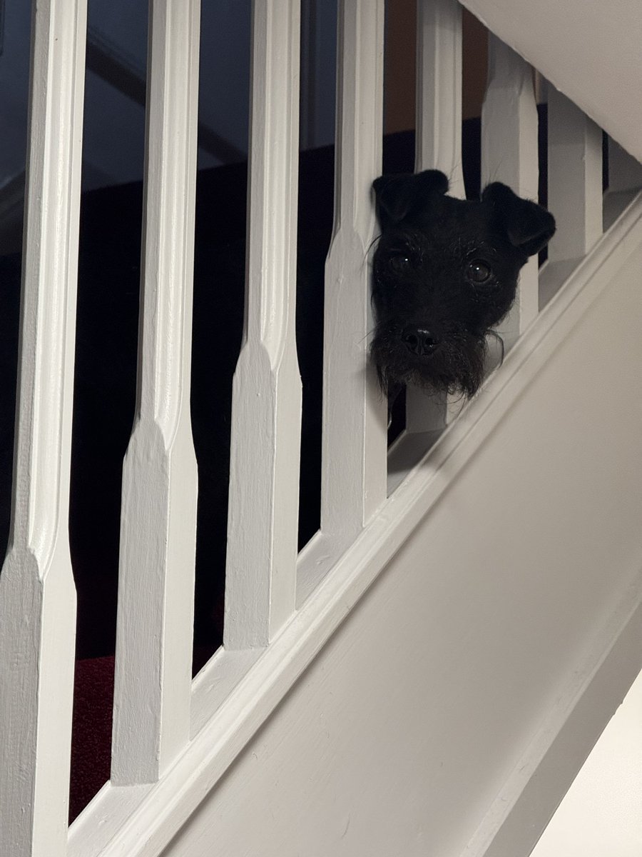 Douglas Gillespie tweet media