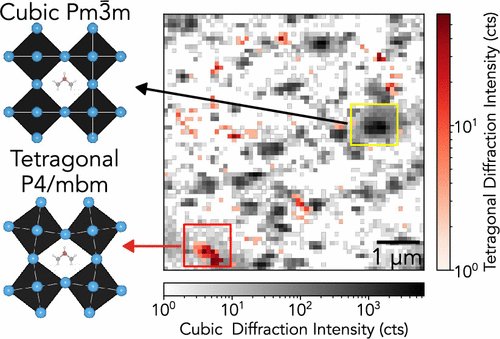MPEM Lab tweet media