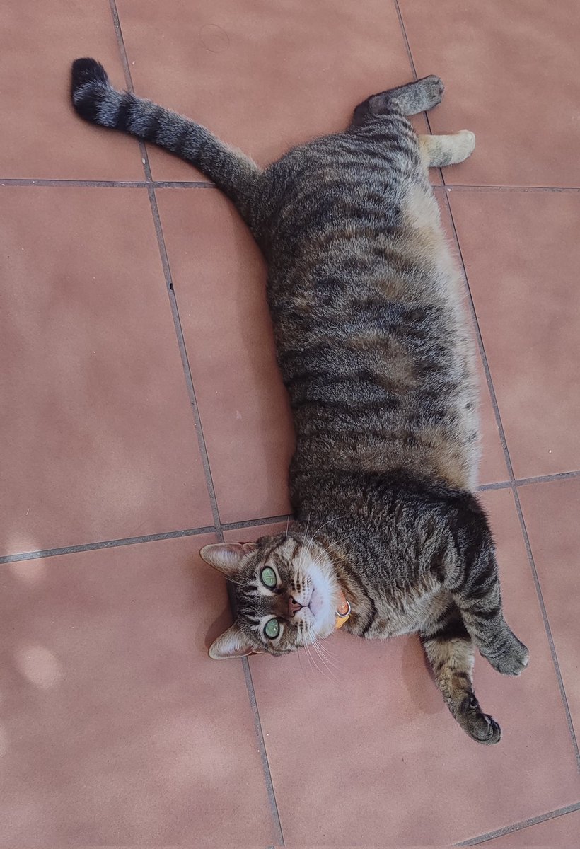 _list91's tweet image. 