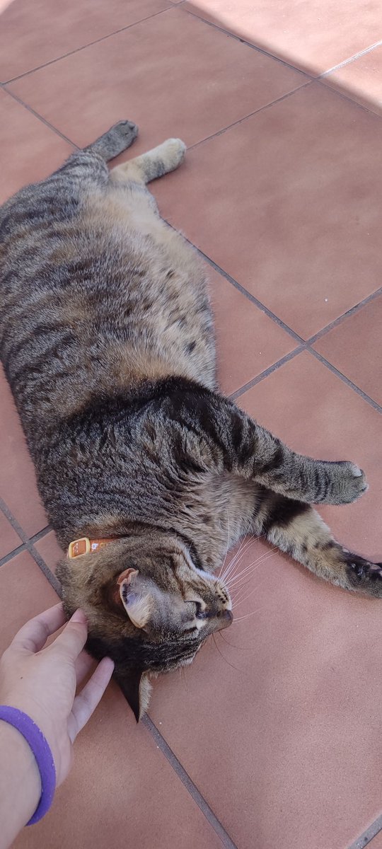 _list91's tweet image. 