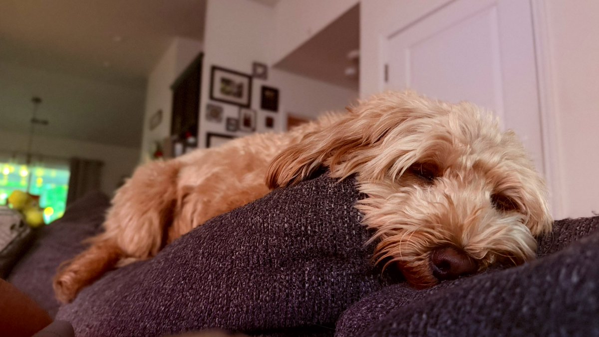 Bryan Vacchio tweet media