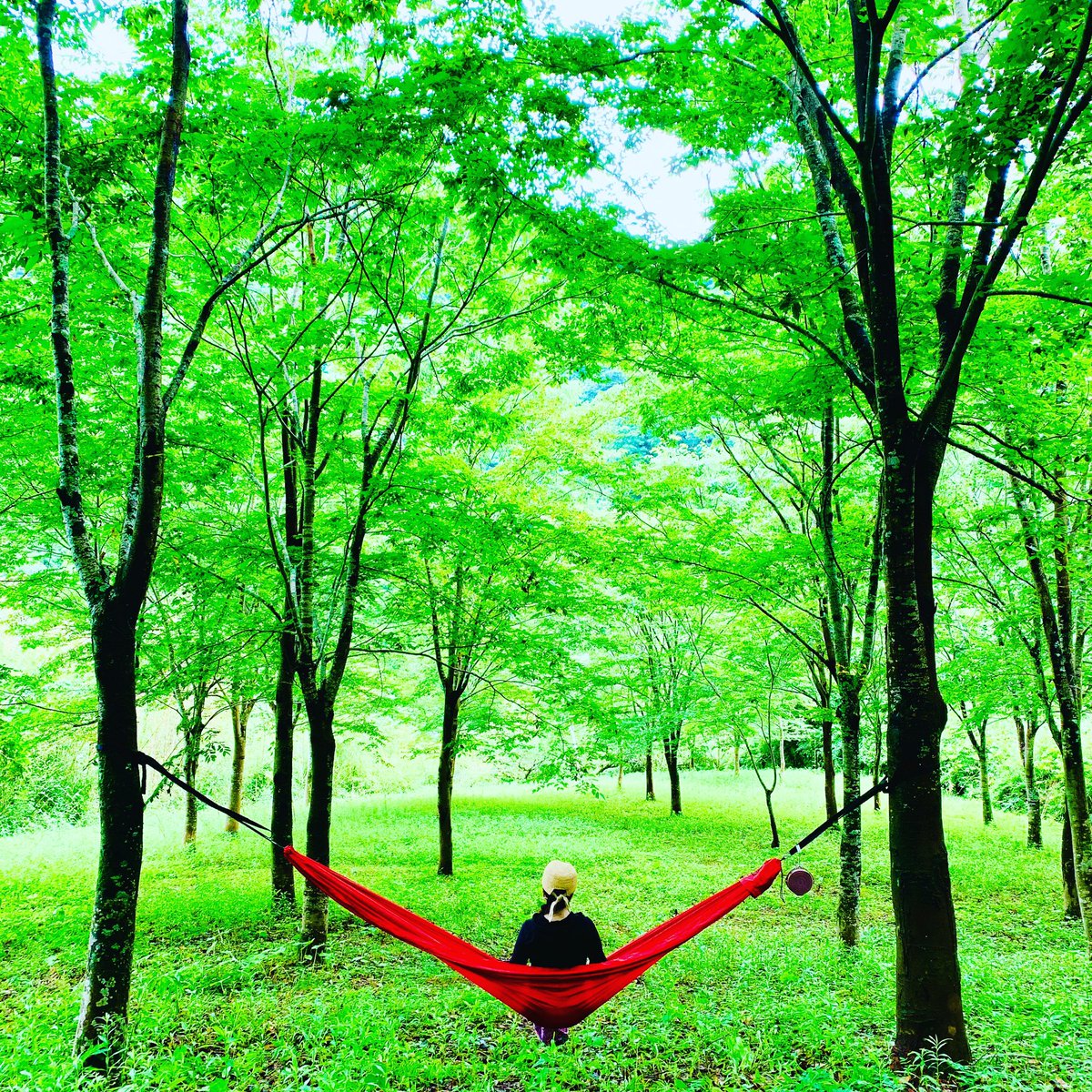 My First Hammock はコレ🏕️

Flying Squirrel Outfitters のHammock
ココから色々揃えていったの懐かしい。