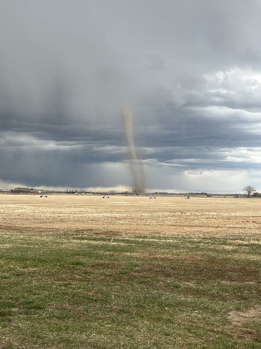 Twister spotted in Rolling Hills, Alberta this afternoon. 
📸: Stephen Lester  
@ECCCWeatherAB <a href="/westernuNTP/">Northern Tornadoes Project 🇨🇦</a> #abstorm  <a href="/CTVdavidspence/">David Spence</a>