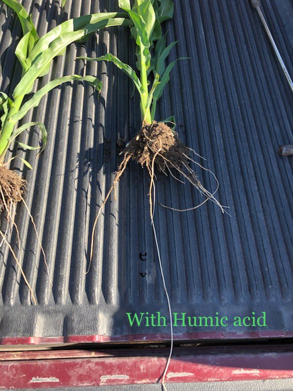 HaFa Industries Inc tweet media