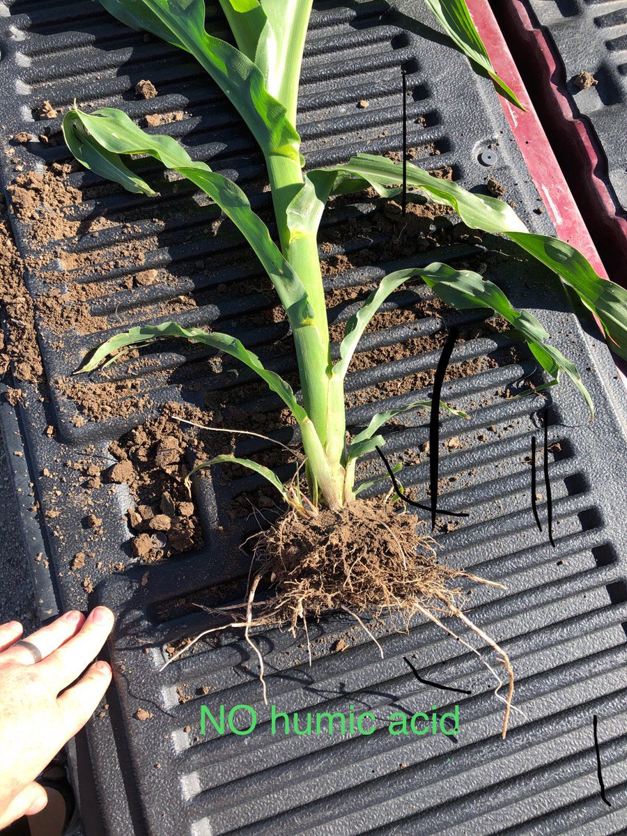 HaFa Industries Inc tweet media