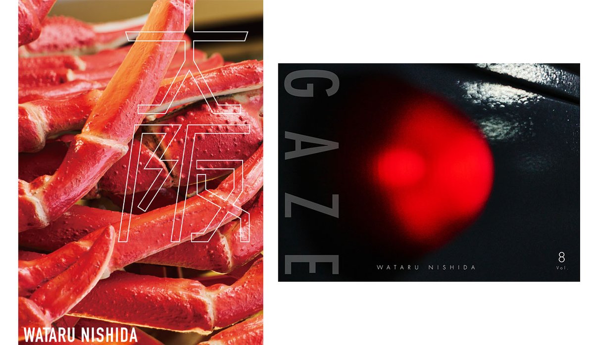 GAZE 8&9 Wataru Nishida 写真集 写真集】GAZE vol.8 | Photure