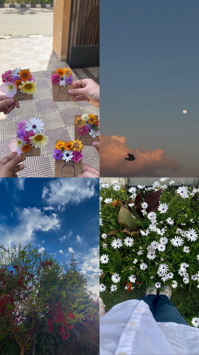 4oro2_'s tweet photo. 🌷💞🥰🪄🪞🌬️🌸 https://t.co/HpVsA0LzH2