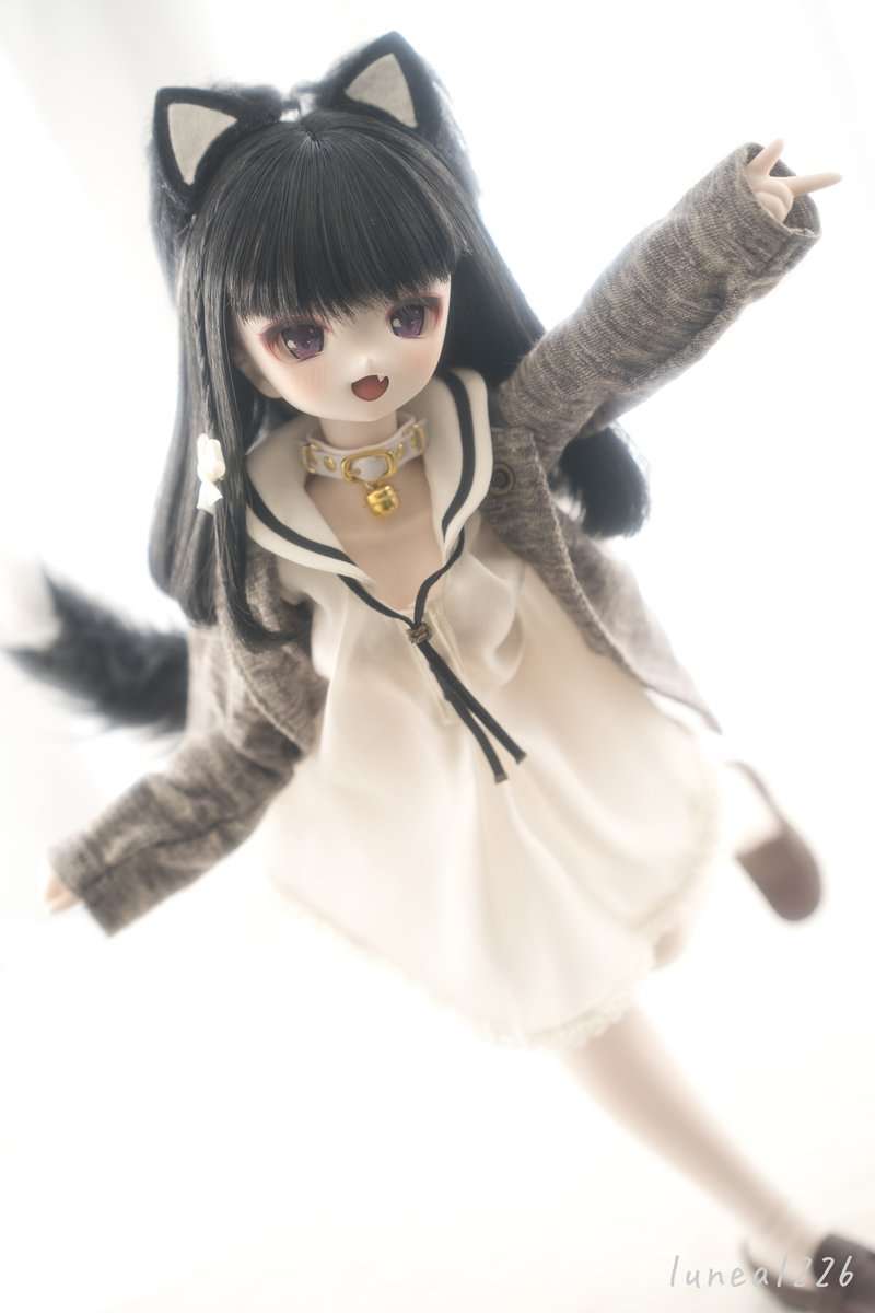 🐈‍⬛

#はれむすめ 
#BorderlineToybox